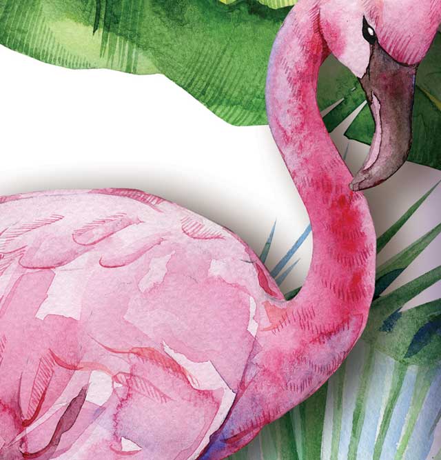 Perfumy Flamingo